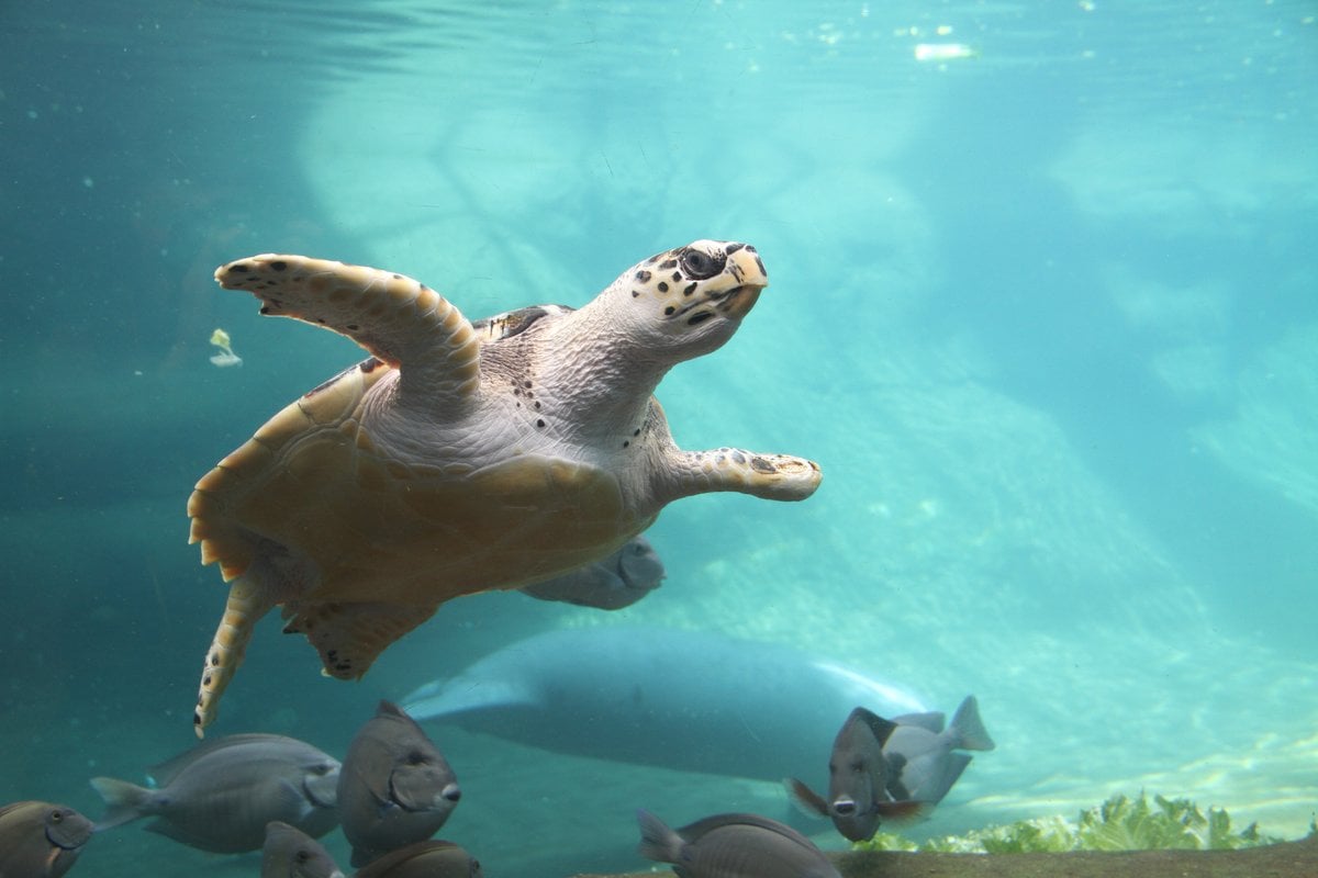 Columbus Zoo and Aquarium - Gallery Image 1